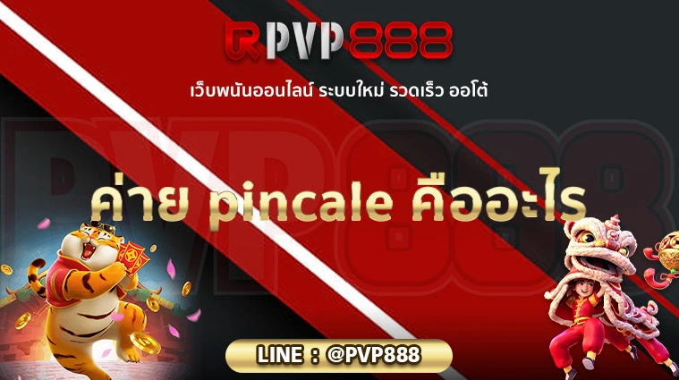 ค่าย pincale คืออะไร